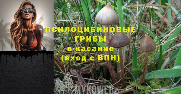 круглые Белокуриха
