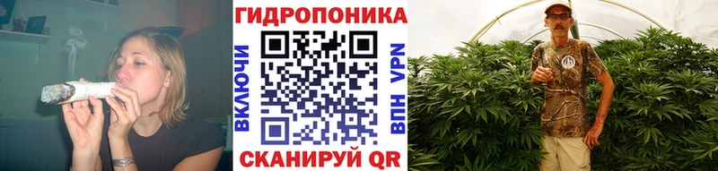 купить наркотик  Полесск  Бошки марихуана конопля 